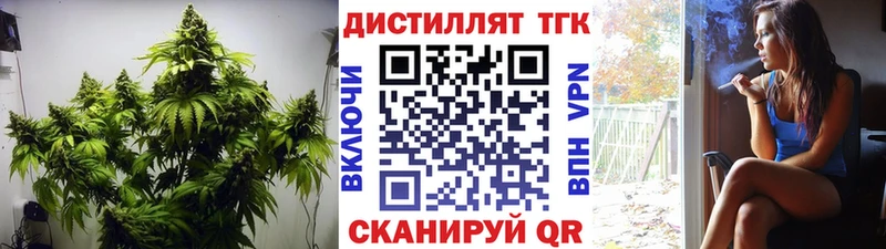 Дистиллят ТГК Wax  где можно купить   Бабушкин 